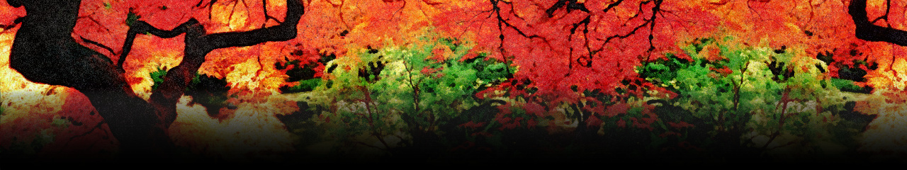 Yokoso Japanese Gardens Yokoso Japanese Gardens