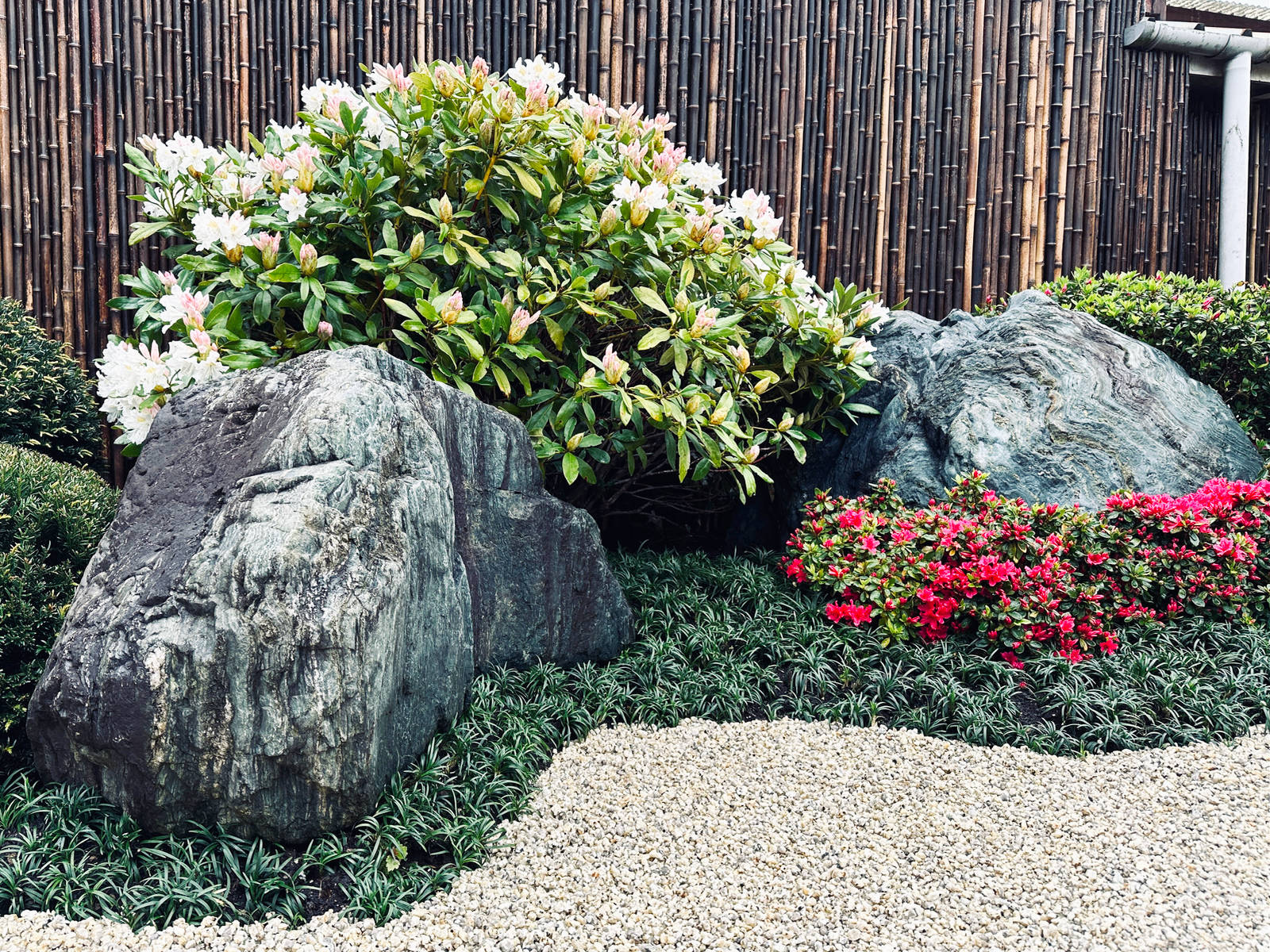Japanese Garden Rocks Stones Boulders for Sale, Shikoku Iyo Japanese Garden Rocks Stones Boulders for Sale, Shikoku Iyo